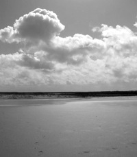 Spiekeroog Wattenmeer